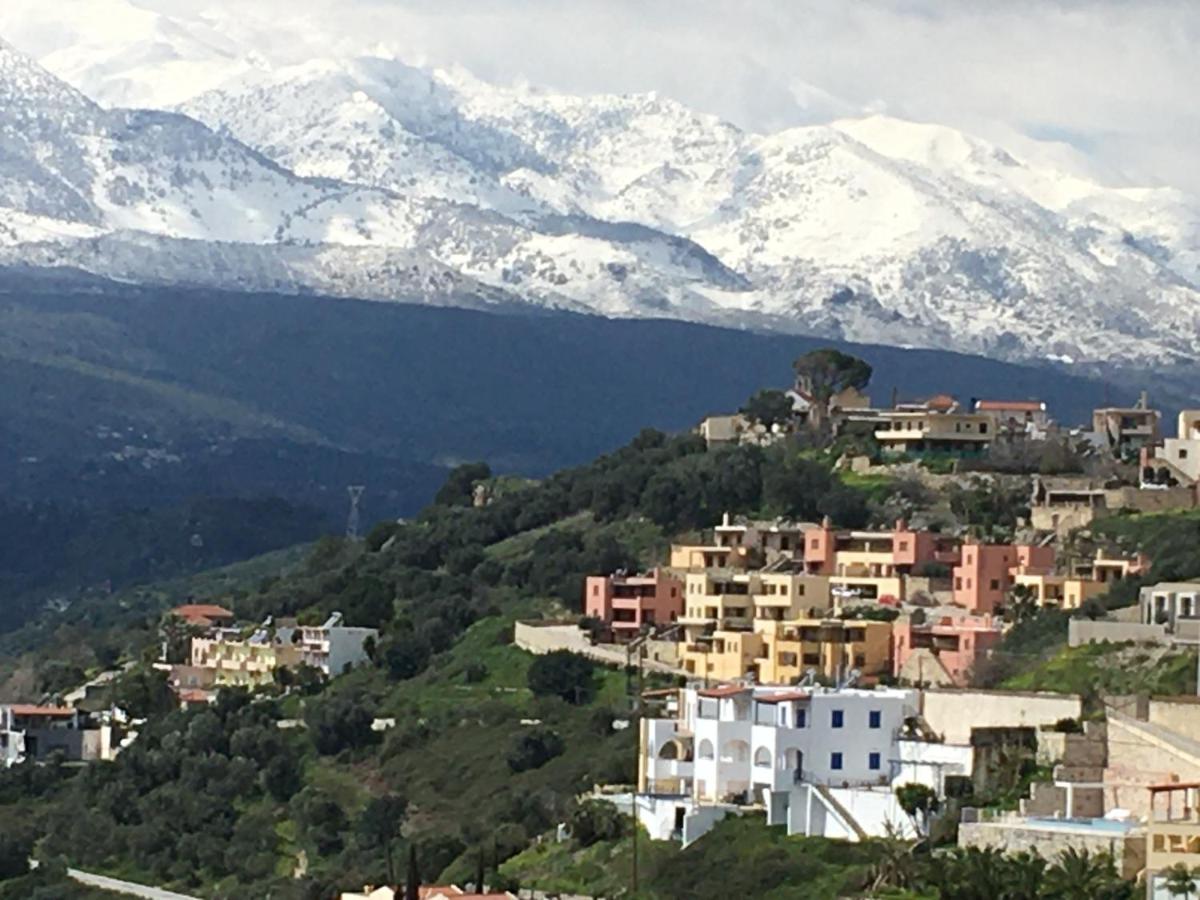 Marjoram - Morfi Village *